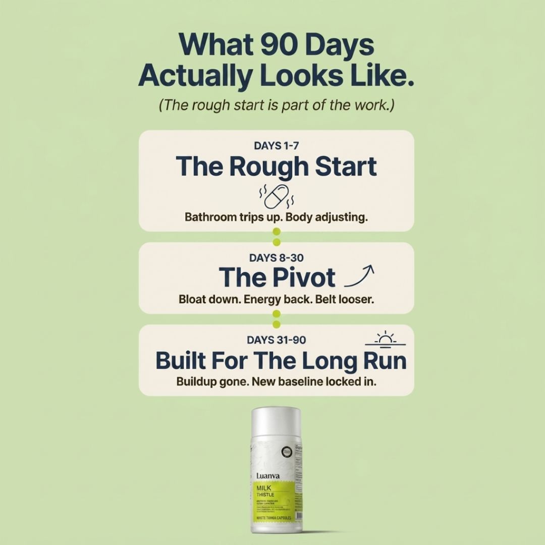 Milk Thistle Liver Detox